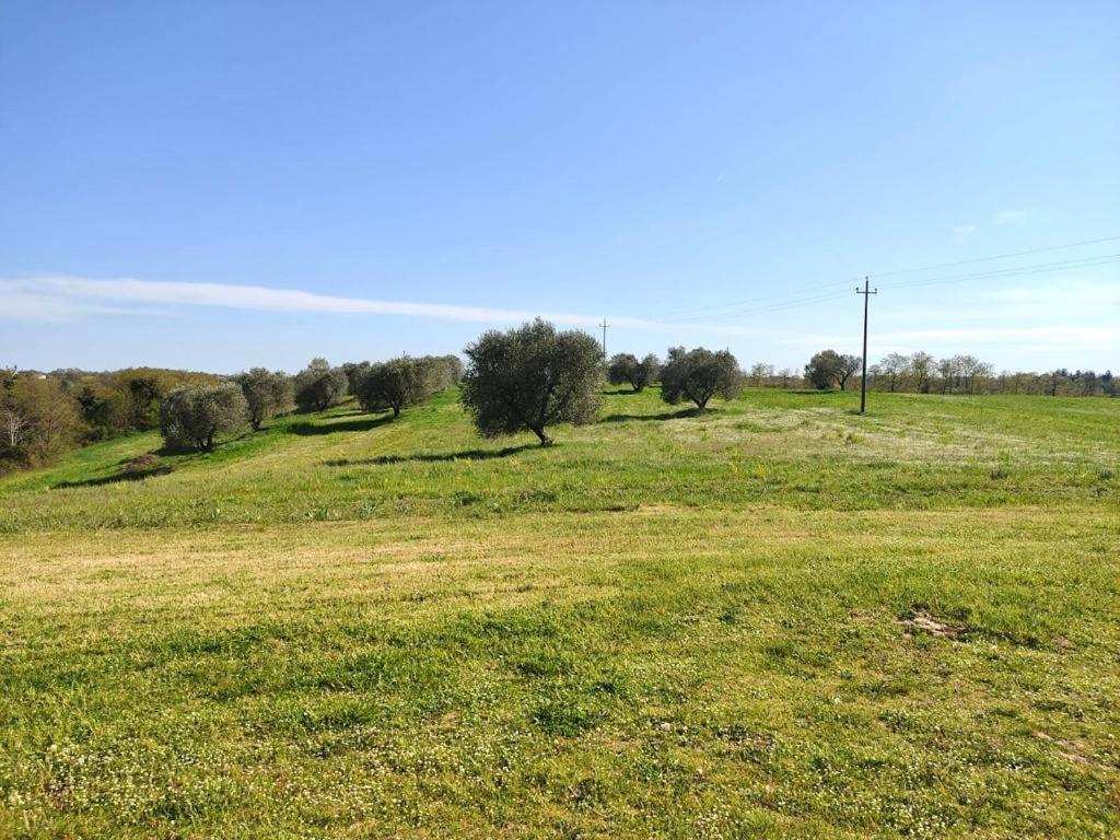Podere San Giuseppe Acquapendente Exteriér fotografie